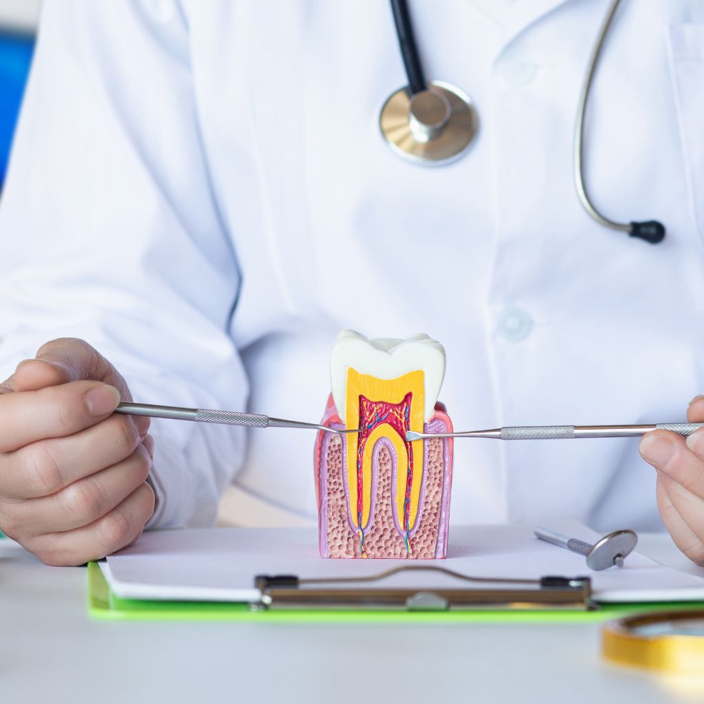 tooth nerve